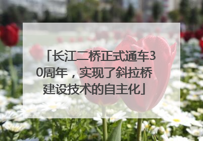 长江二桥正式通车30周年，实现了斜拉桥建设技术的自主化