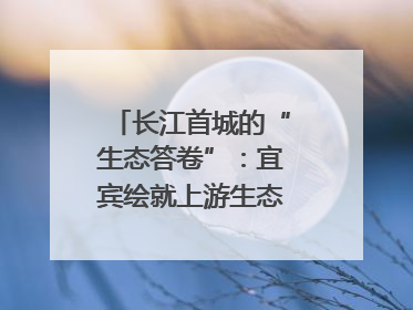 长江首城的“生态答卷”：宜宾绘就上游生态屏障新图景｜中华环保世纪行
