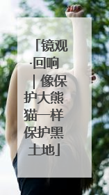 镜观·回响｜像保护大熊猫一样保护黑土地