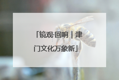 镜观·回响｜津门文化万象新