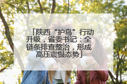 陕西“护鸟”行动升级，省委书记：全链条排查整治，形成高压震慑态势