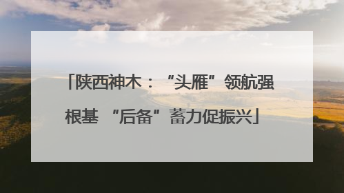 陕西神木：“头雁”领航强根基 “后备”蓄力促振兴