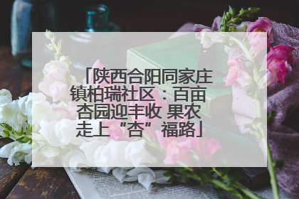 陕西合阳同家庄镇柏瑞社区：百亩杏园迎丰收 果农走上“杏”福路