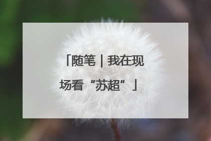随笔｜我在现场看“苏超”