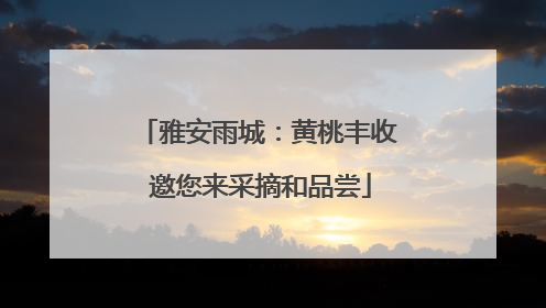 雅安雨城：黄桃丰收 邀您来采摘和品尝
