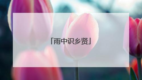 雨中识乡贤