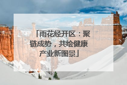 雨花经开区：聚链成势，共绘健康产业新图景
