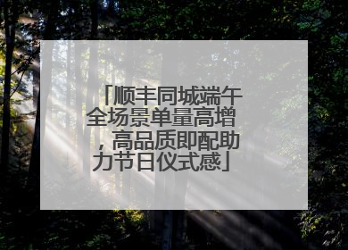 顺丰同城端午全场景单量高增，高品质即配助力节日仪式感
