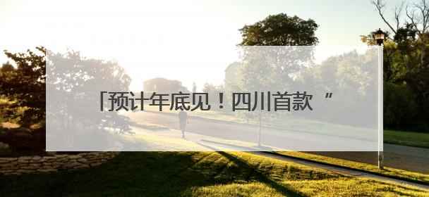 预计年底见！四川首款“懂情感”的机器人要来了，公司刚获数千万元融资