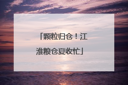 颗粒归仓！江淮粮仓夏收忙