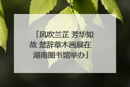 风吹兰芷 芳华如故 楚辞草木画展在湖南图书馆举办