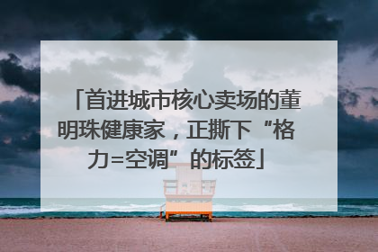首进城市核心卖场的董明珠健康家，正撕下“格力=空调”的标签