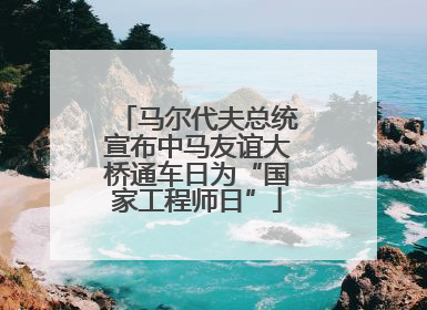 马尔代夫总统宣布中马友谊大桥通车日为“国家工程师日”