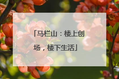 马栏山：楼上创场，楼下生活