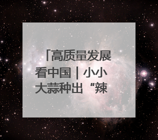 高质量发展看中国｜小小大蒜种出“辣”经济