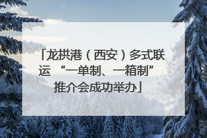 龙拱港（西安）多式联运 “一单制、一箱制” 推介会成功举办