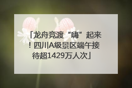 龙舟竞渡“嗨”起来！四川A级景区端午接待超1429万人次
