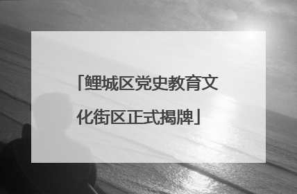 鲤城区党史教育文化街区正式揭牌