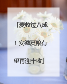 麦收过八成！安徽夏粮有望再迎丰收