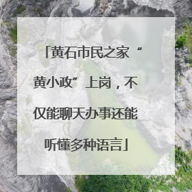 黄石市民之家“黄小政”上岗，不仅能聊天办事还能听懂多种语言