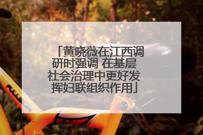 黄晓薇在江西调研时强调 在基层社会治理中更好发挥妇联组织作用