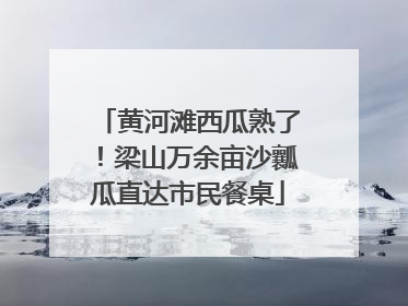 黄河滩西瓜熟了!梁山万余亩沙瓤瓜直达市民餐桌