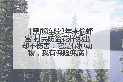 黑熊连续3年来偷蜂蜜 村民防盗花样频出却不伤害：它是保护动物，我有保险兜底