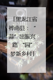 黑龙江省桦南县：“蒜”出振兴路 “园”梦新乡村