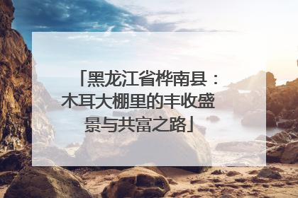 黑龙江省桦南县：木耳大棚里的丰收盛景与共富之路