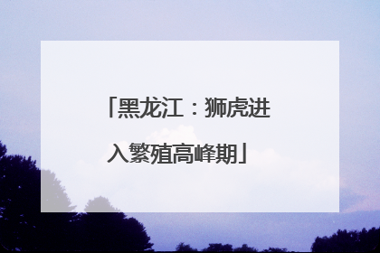 黑龙江：狮虎进入繁殖高峰期