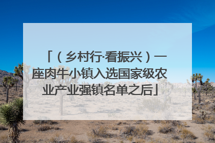（乡村行·看振兴）一座肉牛小镇入选国家级农业产业强镇名单之后