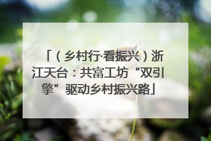 （乡村行·看振兴）浙江天台：共富工坊“双引擎”驱动乡村振兴路