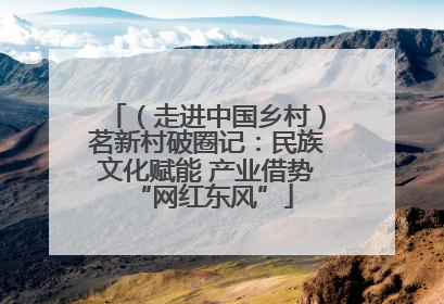 （走进中国乡村）茗新村破圈记：民族文化赋能 产业借势 “网红东风”