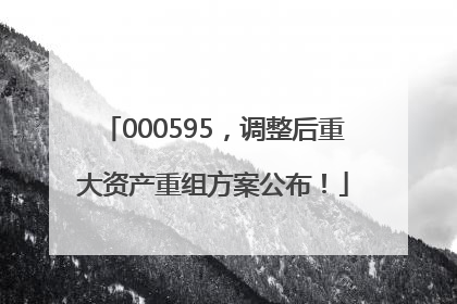 000595，调整后重大资产重组方案公布！