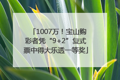 1007万！宝山购彩者凭“9+2”复式票中得大乐透一等奖