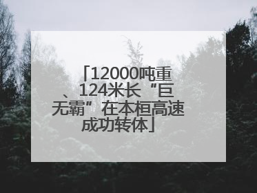 12000吨重、124米长“巨无霸”在本桓高速成功转体