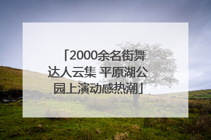 2000余名街舞达人云集 平原湖公园上演动感热潮