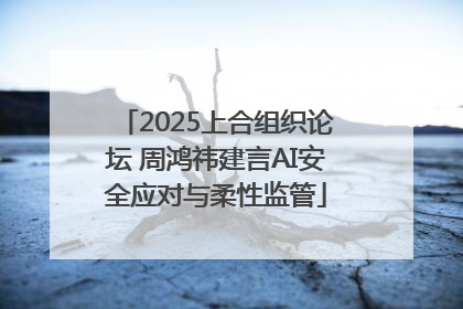 2025上合组织论坛 周鸿祎建言AI安全应对与柔性监管