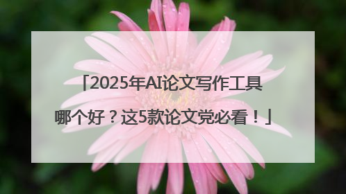 2025年AI论文写作工具哪个好？这5款论文党必看！