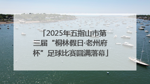 2025年五指山市第三届“桐林假日·老州府杯”足球比赛圆满落幕