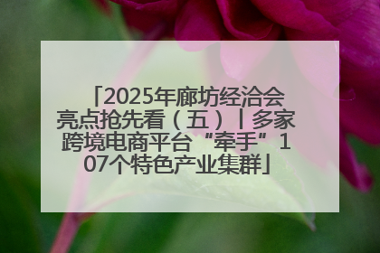 2025年廊坊经洽会亮点抢先看（五）丨多家跨境电商平台“牵手”107个特色产业集群