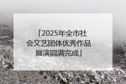 2025年全市社会文艺团体优秀作品展演圆满完成