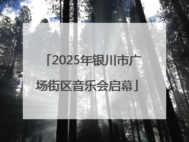 2025年银川市广场街区音乐会启幕