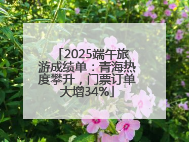 2025端午旅游成绩单：青海热度攀升，门票订单大增34%