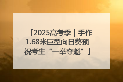 2025高考季｜手作1.68米巨型向日葵预祝考生“一举夺魁”