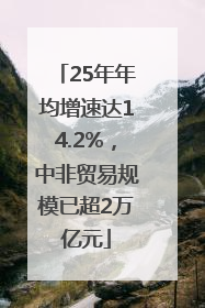 25年年均增速达14.2%，中非贸易规模已超2万亿元