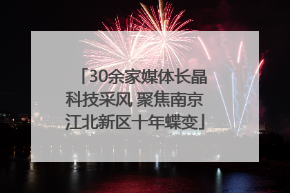 30余家媒体长晶科技采风 聚焦南京江北新区十年蝶变