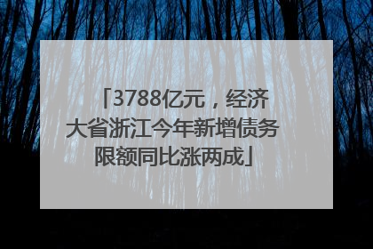3788亿元，经济大省浙江今年新增债务限额同比涨两成
