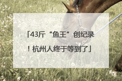 43斤“鱼王”创纪录！杭州人终于等到了