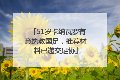 51岁卡纳瓦罗有意执教国足，推荐材料已递交足协